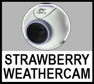 Strawberry WebCam